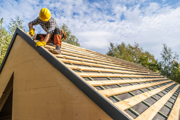 Roof Gutter Cleaning in Corpus Christi, TX